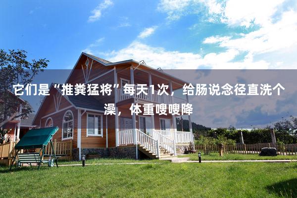 它们是“推粪猛将”每天1次，给肠说念径直洗个澡，体重嗖嗖降